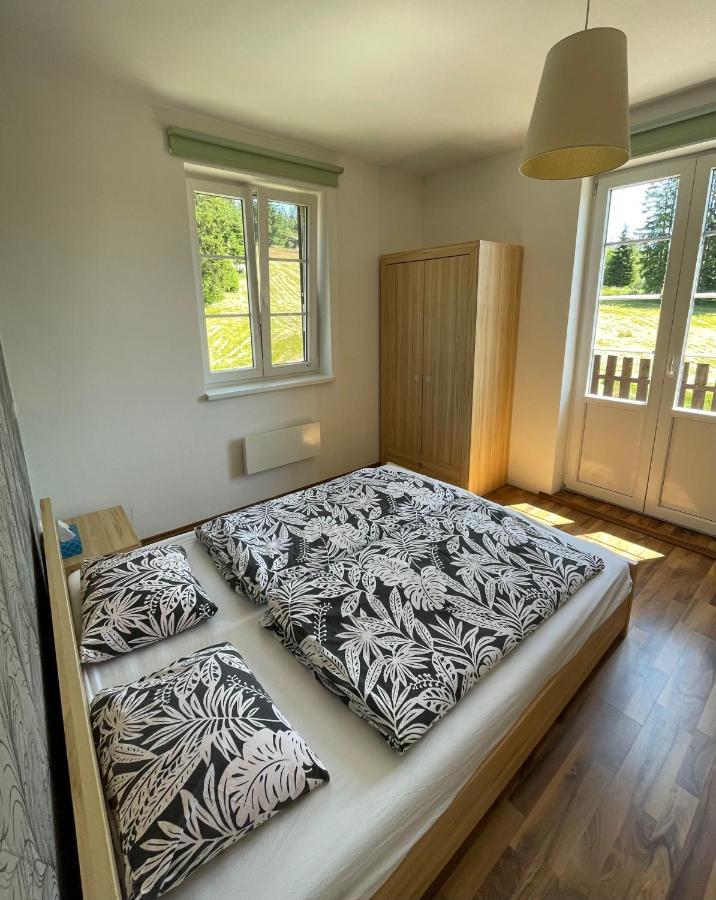 Apartman V Beskydech Stare Hamry Zewnętrze zdjęcie